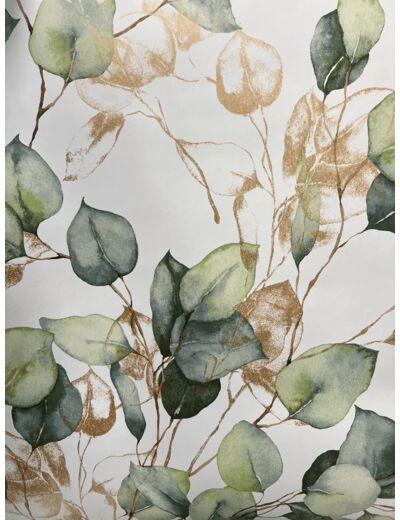 Papier Peint Eucalyptus vert