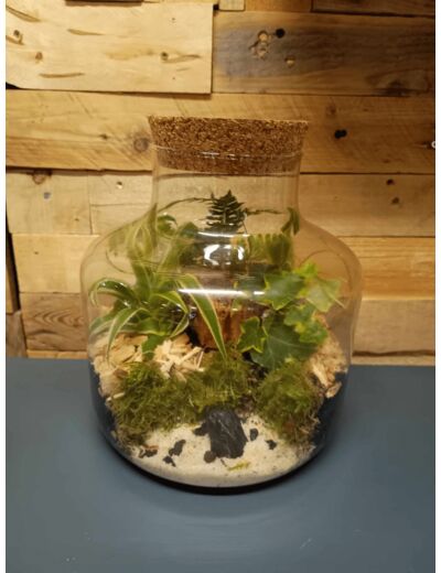 Terrarium PROVIDENCE - TERRA LOVA by Chris - Sur le trottoir d'en face