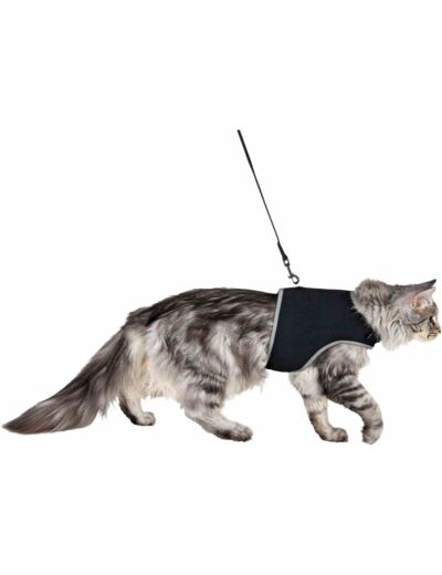 Trixie Soft Cat Harness with Leash, 36 - 54 cm x 1.20 m, Black Harness: 36-54 cm Leash: 1.20 m
