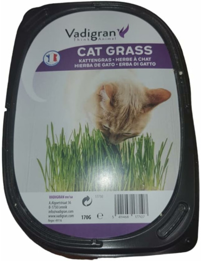 VADIGRAN Jouets avec Herbe à Chat Herbe à Chat 170g