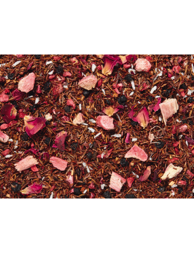 Rooibos framboise/rhubarbe