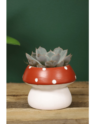 Pot de fleurs champignon - --