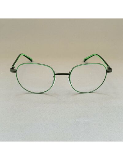 Lunettes De Vue De Stijl Modèle Arend Coloris Vert Gris