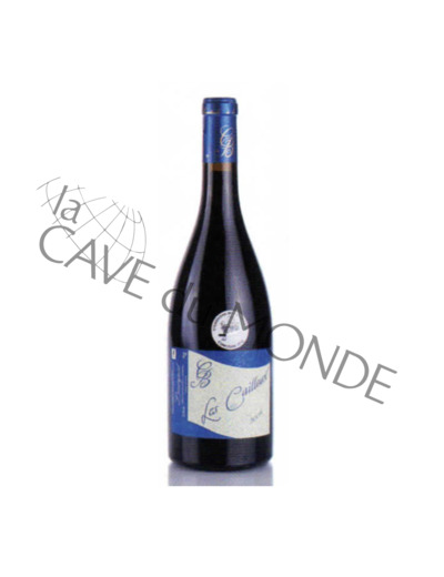 Bourgueil Les Cailloux Dom Caslot Bourdin 2015 12,5° 75cl