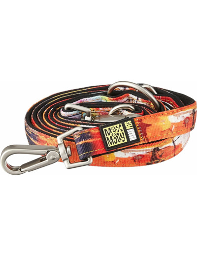 Max & Molly Multi Functional Leash Laisse pour Chien Différentes Tailles et Designs