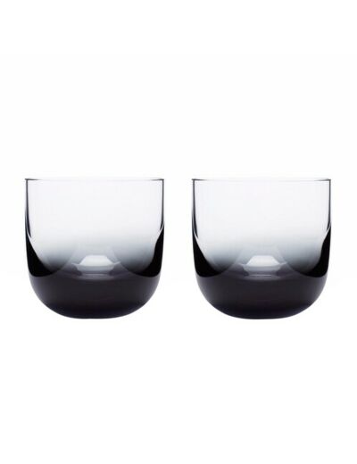 Lot de 2 verres à whisky Tank