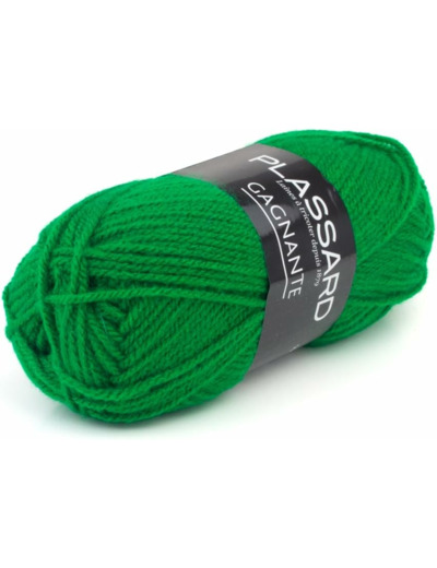 pelote de laine Gagnante coloris 928