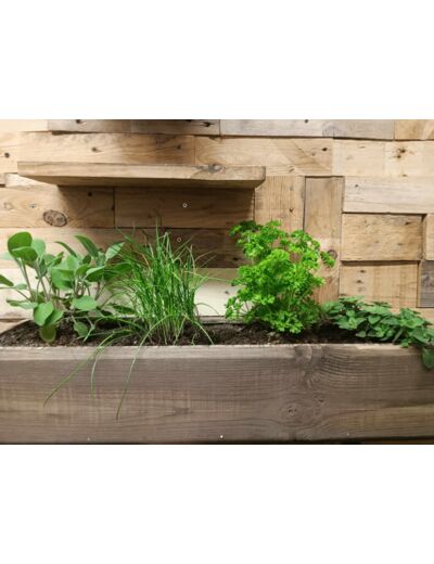 Jardinière en bois recyclé 4 plantes aromatiques - SECONDE VIE LUMINEUSE - Sur le trottoir d'en face