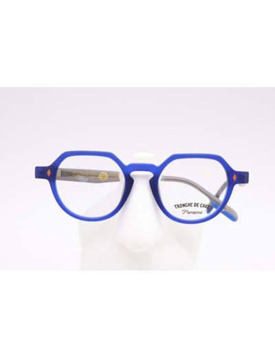 PANAME EYEWEAR Robin C1 44 19 132
