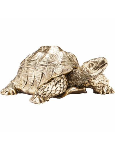 TORTUE GOLD