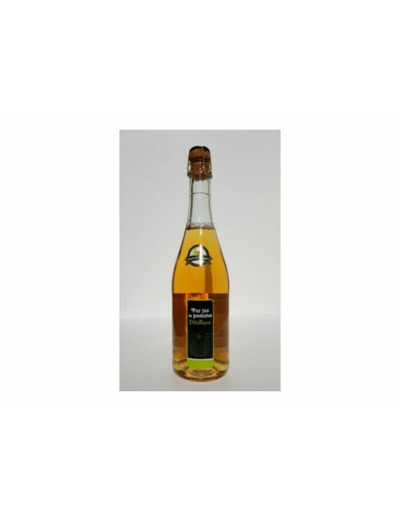 PETILLANT POMME 75CL