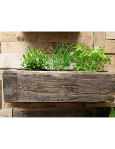 Jardinière en bois recyclé 3 plantes aromatiques - SECONDE VIE LUMINEUSE - Sur le trottoir d'en face