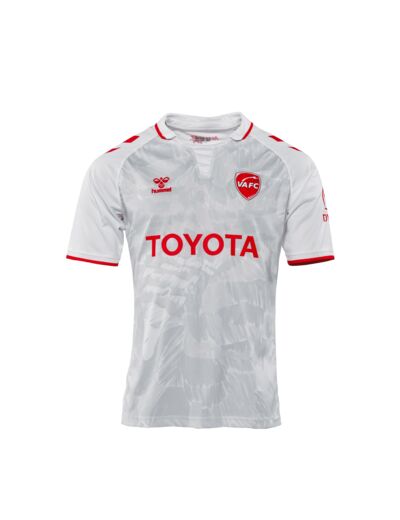 Maillot extérieur saison 2024/2025