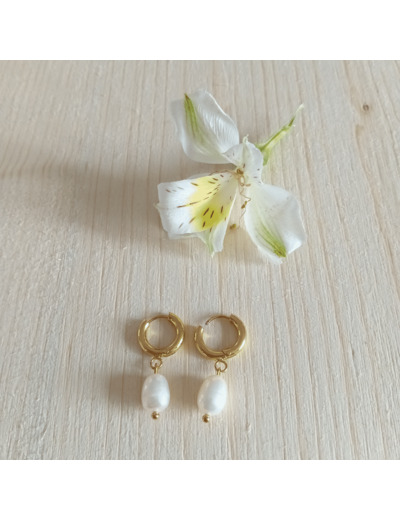 BOUCLES D OREILLE STYLE DORMEUSE