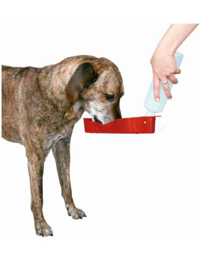 Trixie Distributeur d'eau/Gourde pour Chien 250 ML Pour Chien 250 ml (Lot de 1)