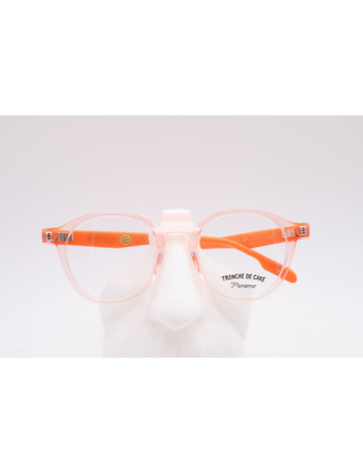 PANAME EYEWEAR Noé C6 46-19-135