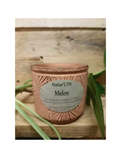 Bougies MELON parfum de Grasse / cire de soja - NATUR'LYN - Sur le trottoir d'en face