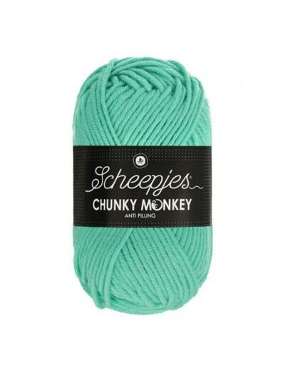 1422 - Scheepjes Chunky Monkey