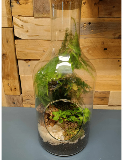 Terrarium TORTUGA - TERRA LOVA by Chris - Sur le trottoir d'en face