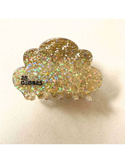 BARRETTE PAILLETTES DOREES -  23 DEGRES